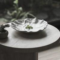 sten 岩石肌理圓盤
